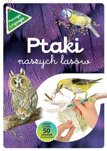 Ptaki naszych lasów zeszyt z kalką bookstore