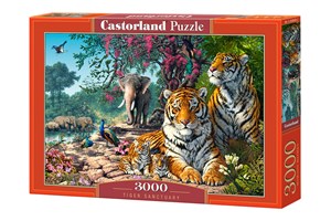 Puzzle 3000 Tiger Sanctuary buy polish books in Usa