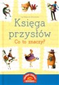 Księga przysłów Co to znaczy Polish bookstore