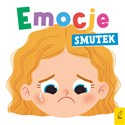 Emocje Smutek buy polish books in Usa