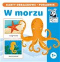 Kapitan Nauka W morzu karty obrazkowe + poradnik W morzu (karty obrazkowe + poradnik) - Opracowanie Zbiorowe