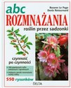 ABC rozmnażania roślin przez sadzonki  