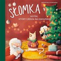 Słomka - kotek, który czekał na Gwiazdkę - Polish Bookstore USA