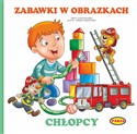 Zabawki w obrazkach - Chłopcy online polish bookstore