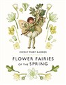 Flower Fairies of the Spring Canada Bookstore