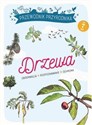 Przewodnik Przyrodnika Drzewa Obserwacja, rozpoznawanie, ochrona online polish bookstore