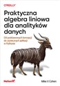 Praktyczna algebra liniowa dla analityków danych Od podstawowych koncepcji do użytecznych aplikacji w Pythonie Bookshop