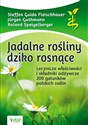 Jadalne rośliny dziko rosnące Lecznicze właściwości i składniki odżywcze 200 gatunków polskich roślin bookstore