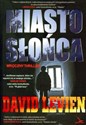 Miasto słońca - David Levien