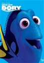 Gdzie jest Dory? DVD  