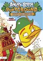 Angry Birds Playground Chuck i łamigłówki Książka z naklejkami bookstore