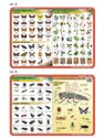 Podkładka edu. 025 - Motyle, owady, anatomia.. - 