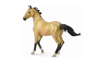 Klacz Akhal-Teke Mare Buckskin to buy in Canada