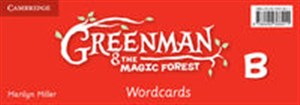 Greenman and the Magic Forest B Wordcards (Pack of 48) in polish