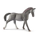 Trakehner Klacz polish books in canada