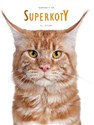 Superkoty books in polish