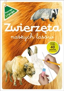 Zwierzęta naszych lasów Polish bookstore