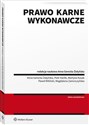 Prawo karne wykonawcze Polish bookstore