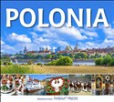 Polonia to buy in USA