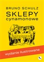 Sklepy cynamonowe Wydanie ilustrowane 