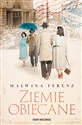 Ziemie obiecane to buy in Canada
