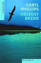 Odległy brzeg 