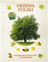 Drzewa Polski Książeczka edukacyjna z naklejkami in polish