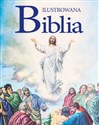 Ilustrowana Biblia buy polish books in Usa