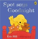 Spot Says Goodnight books in polish
