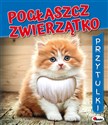 Pogłaszcz zwierzatko Przytulki Bookshop