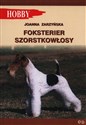 Foksterier szorstkołosy Polish bookstore