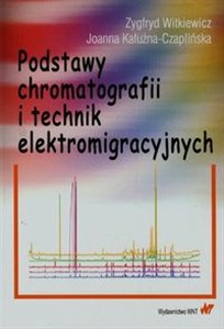 Podstawy chromatografii i technik elektromigracyjnych Polish bookstore