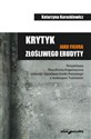 Krytyk jako figura złośliwego erudyty Perspektywa filozoficzno-lingwistyczna polemiki Stanisława Kostki Potockiego z Andrzejem Trzcińskim to buy in USA