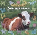 Maluch poznaje Zwierzęta na wsi  - 