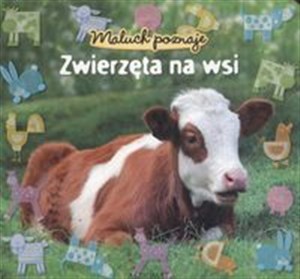Maluch poznaje Zwierzęta na wsi  bookstore