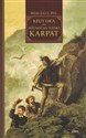 Rzut oka na północne stoki Karpat - Wincenty Pol books in polish