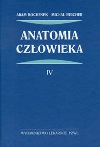 Anatomia człowieka Tom 4 polish books in canada