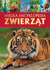 Wielka encyklopedia zwierząt buy polish books in Usa