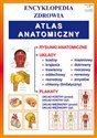 Atlas anatomiczny Encyklopedia zdrowia Bookshop
