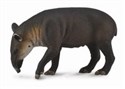 Tapir Bairda L - 