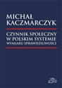 Czynnik społeczny w polskim systemie wymiaru sprawiedliwości polish books in canada