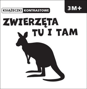 Zwierzęta tu i tam 3m+ polish books in canada