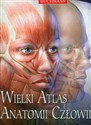Wielki atlas anatomii człowieka - Polish Bookstore USA