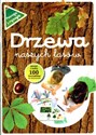 Drzewa naszych lasów Zeszyt z kalką. 100 kształtów do odrysowania. Polish bookstore