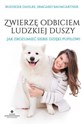 Zwierzę odbiciem ludzkiej duszy Jak zrozumieć siebie dzięki pupilowi polish books in canada