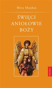 Święci Aniołowie Boży Tradycja. Nowenna. Modlitwy. Polish bookstore