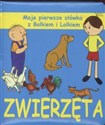 Zwierzęta  Moje pierwsze słówka z Bolkiem i Lolkiem  Polish bookstore