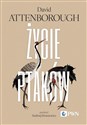 Życie ptaków - David Attenborough