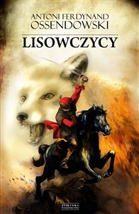 Lisowczycy in polish