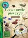 Młody Obserwator Przyrody. Co w trawie piszczy?   